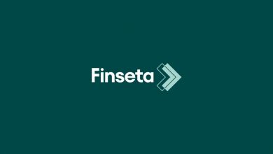 finseta-beats-estimates-with-11.3-million-revenue-in-2024