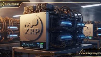 make-your-xrp-work-for-you:-earn-daily-passive-income-with-sunnymining