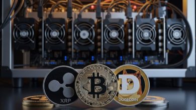 xrp-holders-earn-over-$7,600-daily-with-ourcryptominer-btc-and-doge-mining-contracts